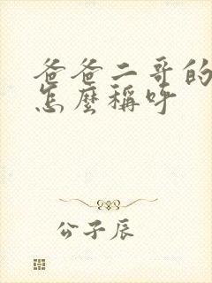 爸爸二哥的老婆怎么称呼