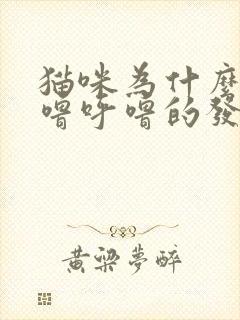 猫咪为什么会呼噜呼噜的发出声音