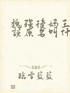魏强后妈王丽小说原名叫什么