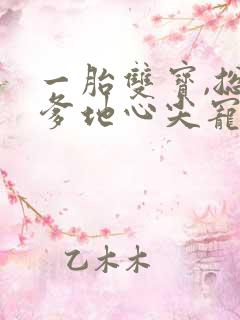 一胎双宝,总裁爹地心尖宠