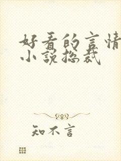 好看的言情甜宠小说总裁