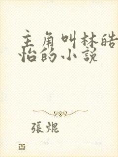主角叫林皓李静怡的小说