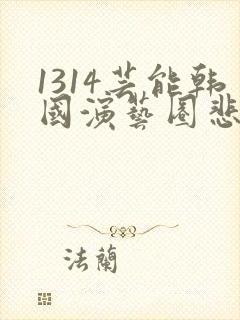 1314芸能韩国演艺圈悲k8