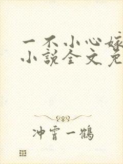 一不小心嫁总裁小说全文免费阅读