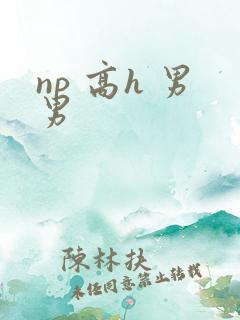 np 高h 男男