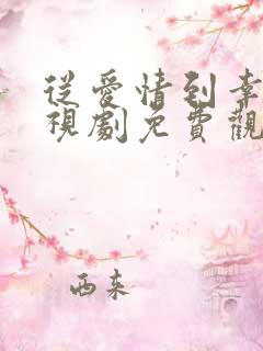 从爱情到幸福电视剧免费观看37集