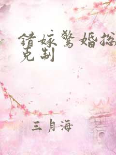 错嫁惊婚总裁请克制