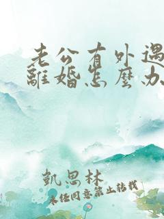 老公有外遇我要离婚怎么办