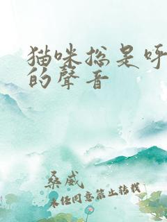 猫咪总是呼噜噜的声音