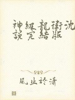 神级龙卫沈浪小说完结版