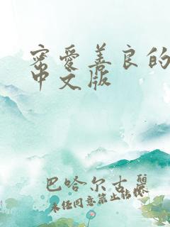 密爱善良的嫂子中文版