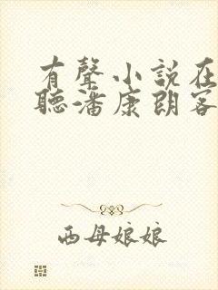 有声小说在线收听潘康朗客