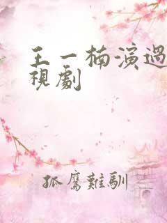 王一楠演过的电视剧