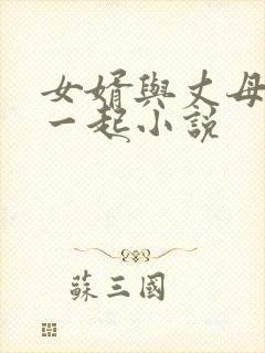 女婿与丈母娘在一起小说