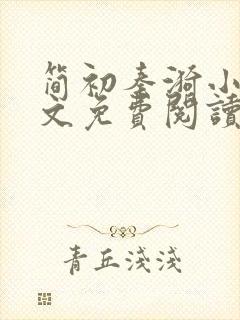 简初秦漪小说全文免费阅读