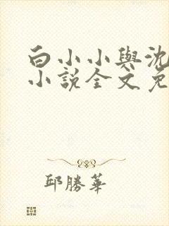 白小小与沈惊觉小说全文免费阅读