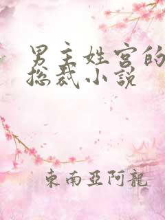 男主姓宫的现代总裁小说
