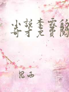 小说李霖的官场奇才免费阅读