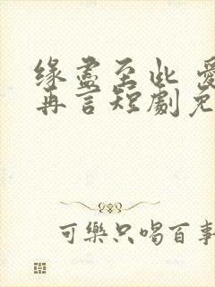 缘尽至此 爱不再言短剧免费观看70