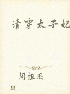 清穿太子妃小说