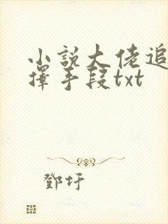 小说大佬追妻不择手段txt
