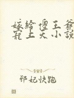 嫁给傻王爷后被宠上天小说