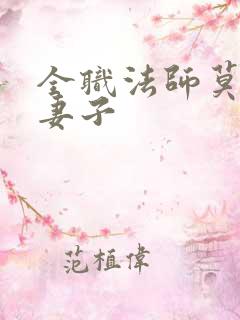 全职法师莫凡的妻子