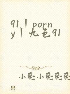 91丨porny丨九色91