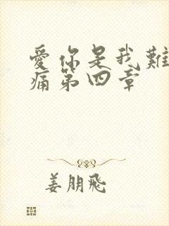 爱你是我难言的痛第四章