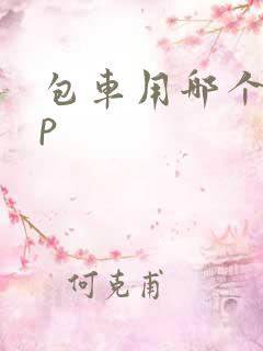 包车用哪个app