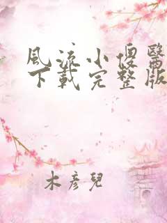 风流小傻医小说下载完整版