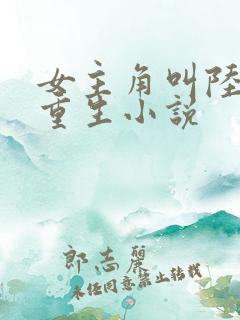 女主角叫陆晚的重生小说
