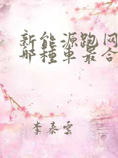 新能源跑网约车哪种车最合适