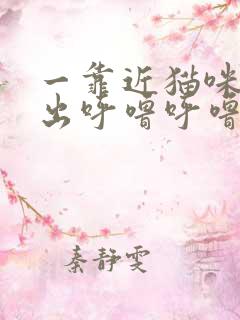 一靠近猫咪就发出呼噜呼噜的声音