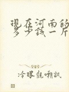 现在河南的玉米多少钱一斤