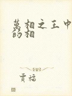 万相之王中李洛的相