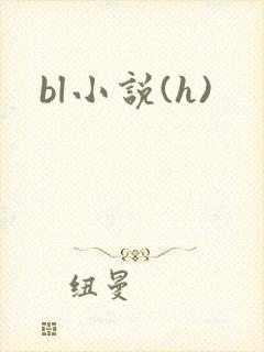 bl小说(h)