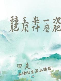 种玉米一次性施肥用什么肥料好