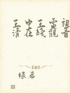 王中王电视剧高清在线观看免费