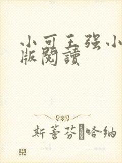 小可王强小说正版阅读