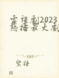 电视剧2023热播最火剧