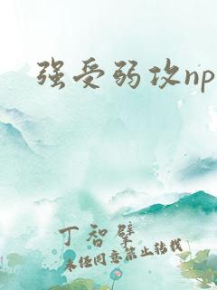 强受弱攻np