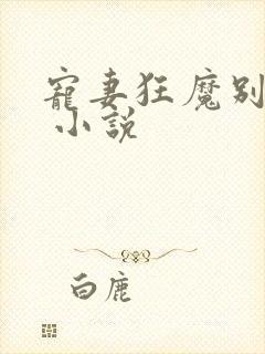 宠妻狂魔别太坏 小说