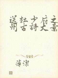 送杜少府之任蜀州古诗大意