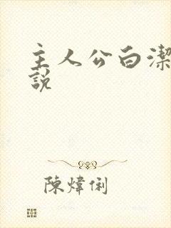 主人公白洁的小说