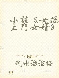 小说《女总裁的上门女婿》