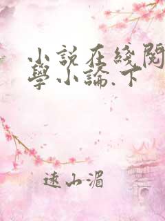 小说在线阅读文学小论.下