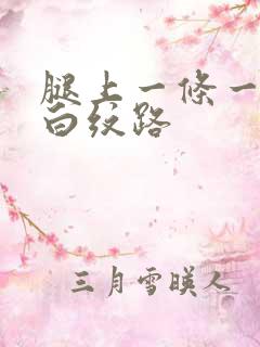 腿上一条一条的白纹路