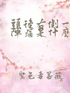 头后右侧一阵一阵痛是什么原因