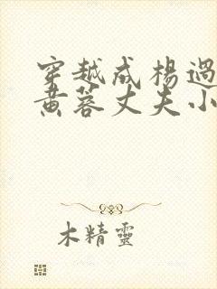 穿越成杨过成了黄蓉丈夫小说